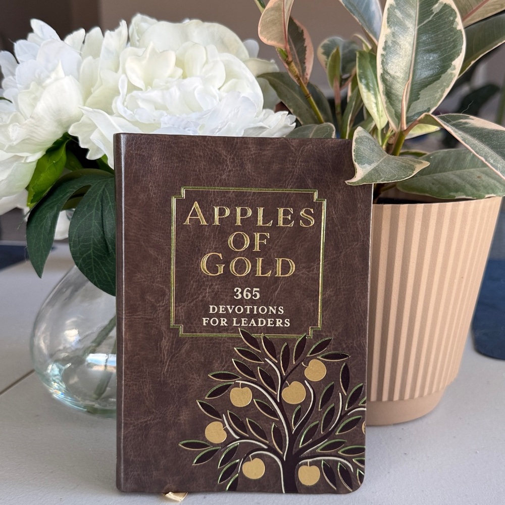 ✨NWT Apples of Gold Devotional🤎